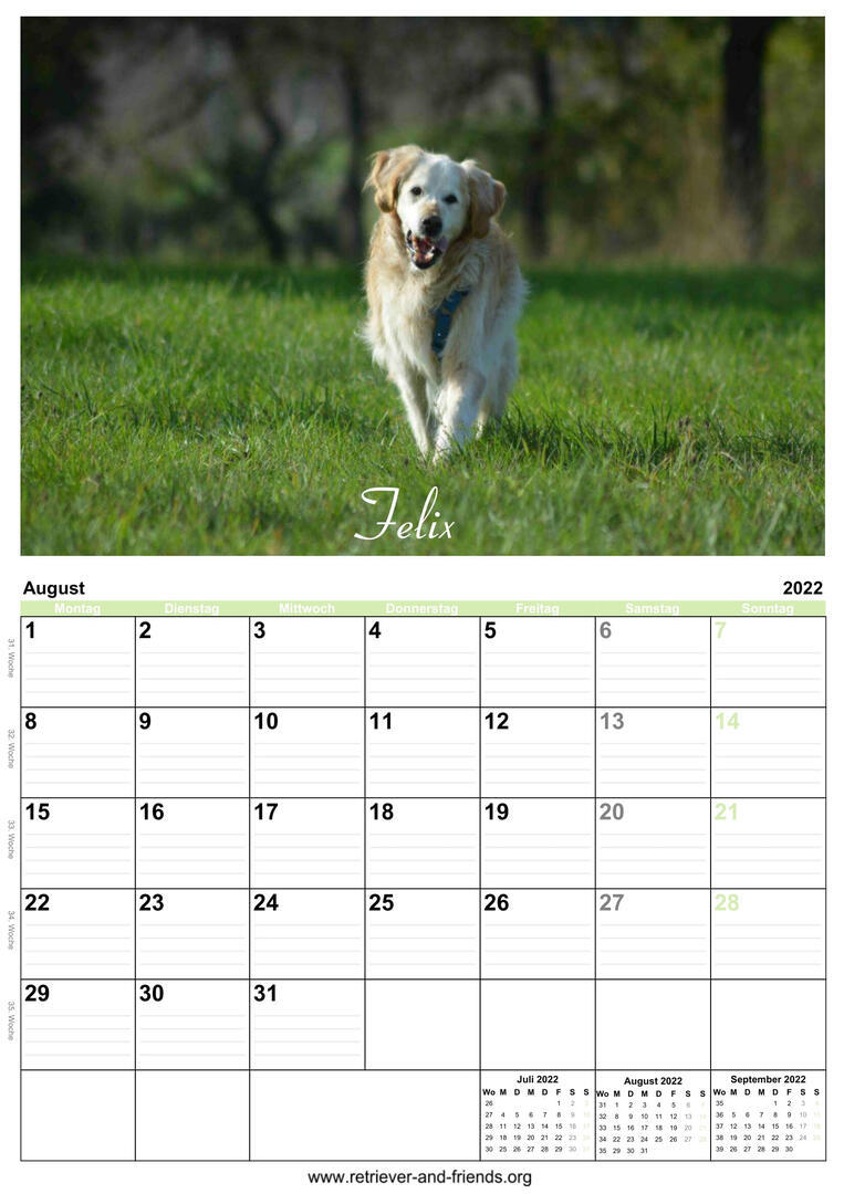 Klicke auf die Grafik für eine vergrößerte Ansicht

Name: image_31278.jpeg
Ansichten: 851
Größe: 106,9 KB
ID: 1000886