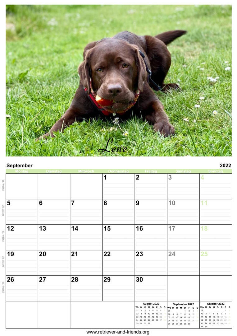 Klicke auf die Grafik für eine vergrößerte Ansicht

Name: image_31279.jpeg
Ansichten: 827
Größe: 143,6 KB
ID: 1000887