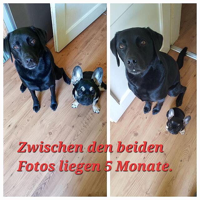 Klicke auf die Grafik für eine vergrößerte Ansicht

Name: 20220923_191028.jpg
Ansichten: 2090
Größe: 139,6 KB
ID: 1046917