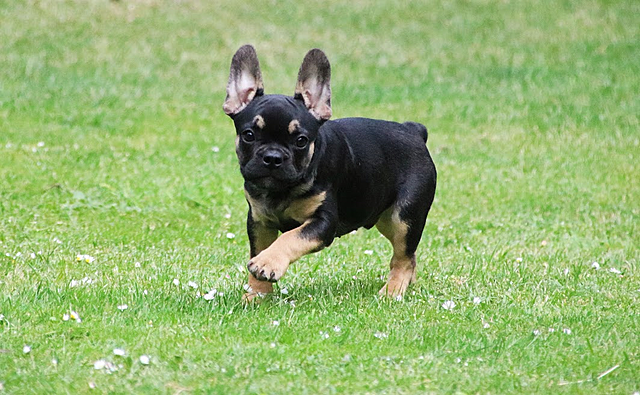 Klicke auf die Grafik für eine vergrößerte Ansicht

Name: image.png
Ansichten: 647
Größe: 1,09 MB
ID: 1060874