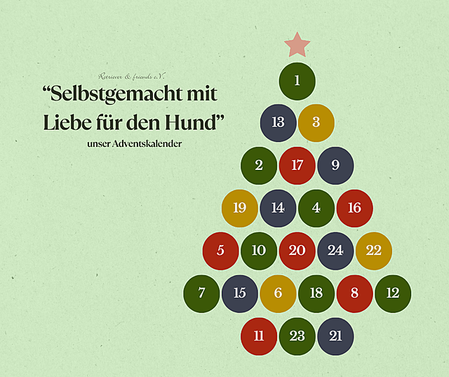 Klicke auf die Grafik für eine vergrößerte Ansicht  Name: Ankündigung Adventskalender.png Ansichten: 3 Größe: 502,3 KB ID: 1156523