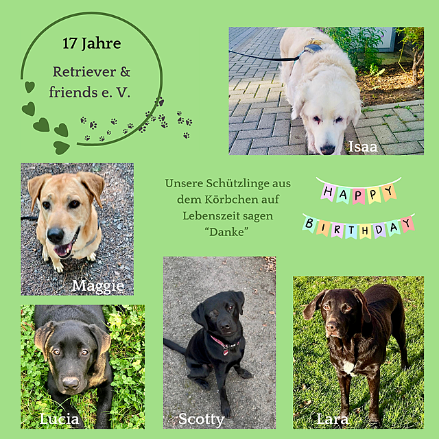 Klicke auf die Grafik für eine vergrößerte Ansicht

Name: 17 Jahre Retriever &amp; friends5.png
Ansichten: 379
Größe: 1,37 MB
ID: 1156993