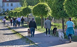 Klicke auf die Grafik für eine vergrößerte Ansicht  Name: 2025.04.27.firstwalk.jpg Ansichten: 104 Größe: 147,0 KB ID: 1174886