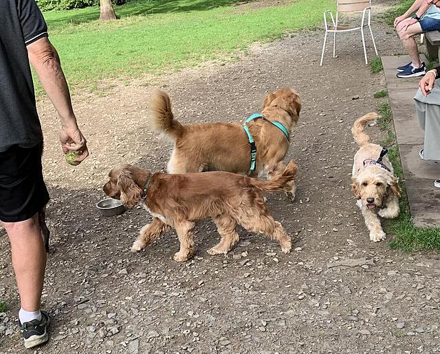 Klicke auf die Grafik für eine vergrößerte Ansicht  Name: IMG_3194.jpg Ansichten: 0 Größe: 236,0 KB ID: 1189735