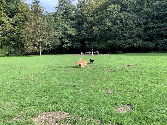 Klicke auf die Grafik für eine vergrößerte Ansicht  Name: IMG_3192.jpg Ansichten: 0 Größe: 248,1 KB ID: 1189738