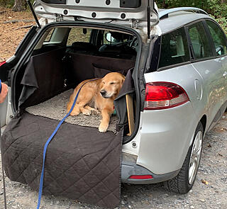 Klicke auf die Grafik für eine vergrößerte Ansicht  Name: IMG_3231.jpg Ansichten: 0 Größe: 259,7 KB ID: 1189741