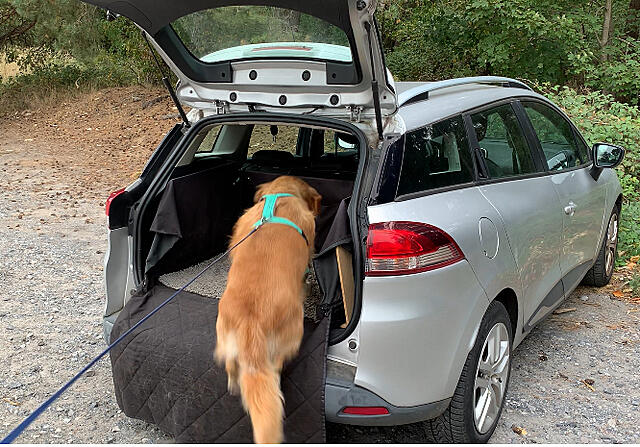 Klicke auf die Grafik für eine vergrößerte Ansicht  Name: IMG_3230.jpg Ansichten: 0 Größe: 411,3 KB ID: 1189742