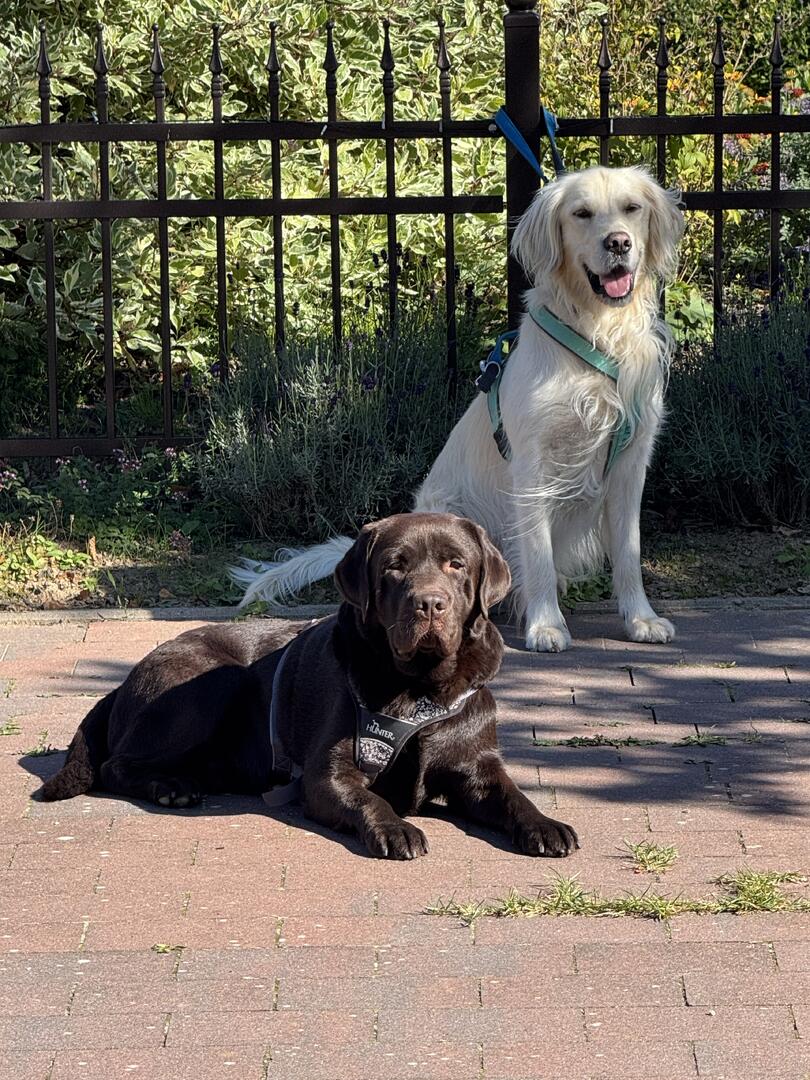 Klicke auf die Grafik für eine vergrößerte Ansicht  Name: IMG_2576.jpg Ansichten: 0 Größe: 238,4 KB ID: 1190189