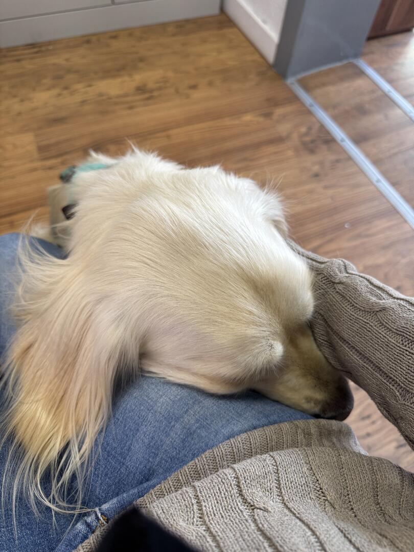 Klicke auf die Grafik für eine vergrößerte Ansicht  Name: IMG_2595.jpg Ansichten: 0 Größe: 126,3 KB ID: 1190190