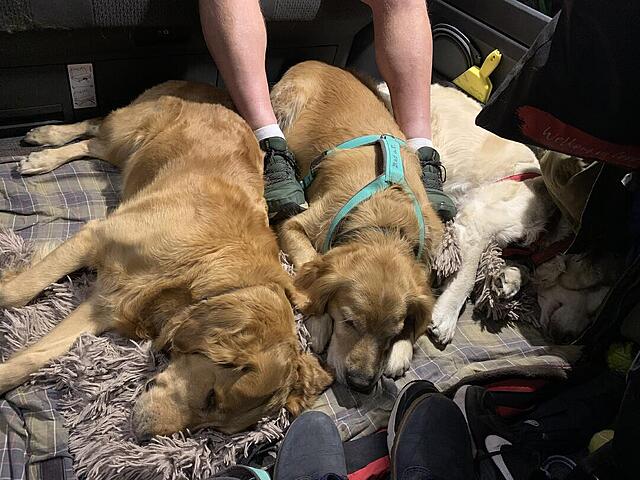 Klicke auf die Grafik für eine vergrößerte Ansicht

Name: IMG_3272.jpg
Ansichten: 0
Größe: 134,9 KB
ID: 1190620