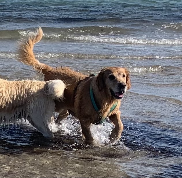 Klicke auf die Grafik für eine vergrößerte Ansicht

Name: IMG_3288.jpg
Ansichten: 0
Größe: 177,9 KB
ID: 1190621