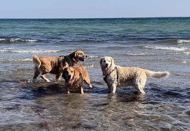 Klicke auf die Grafik für eine vergrößerte Ansicht

Name: IMG_3286.jpg
Ansichten: 0
Größe: 164,9 KB
ID: 1190622