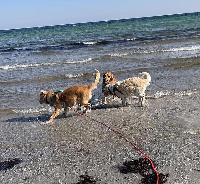 Klicke auf die Grafik für eine vergrößerte Ansicht

Name: IMG_3278.jpg
Ansichten: 0
Größe: 228,1 KB
ID: 1190625