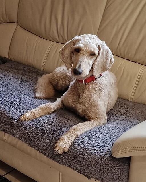 Klicke auf die Grafik für eine vergrößerte Ansicht  Name: 0ada6eba-c05c-442a-bb5a-d44a681408b3.jpg Ansichten: 0 Größe: 142,4 KB ID: 1190637