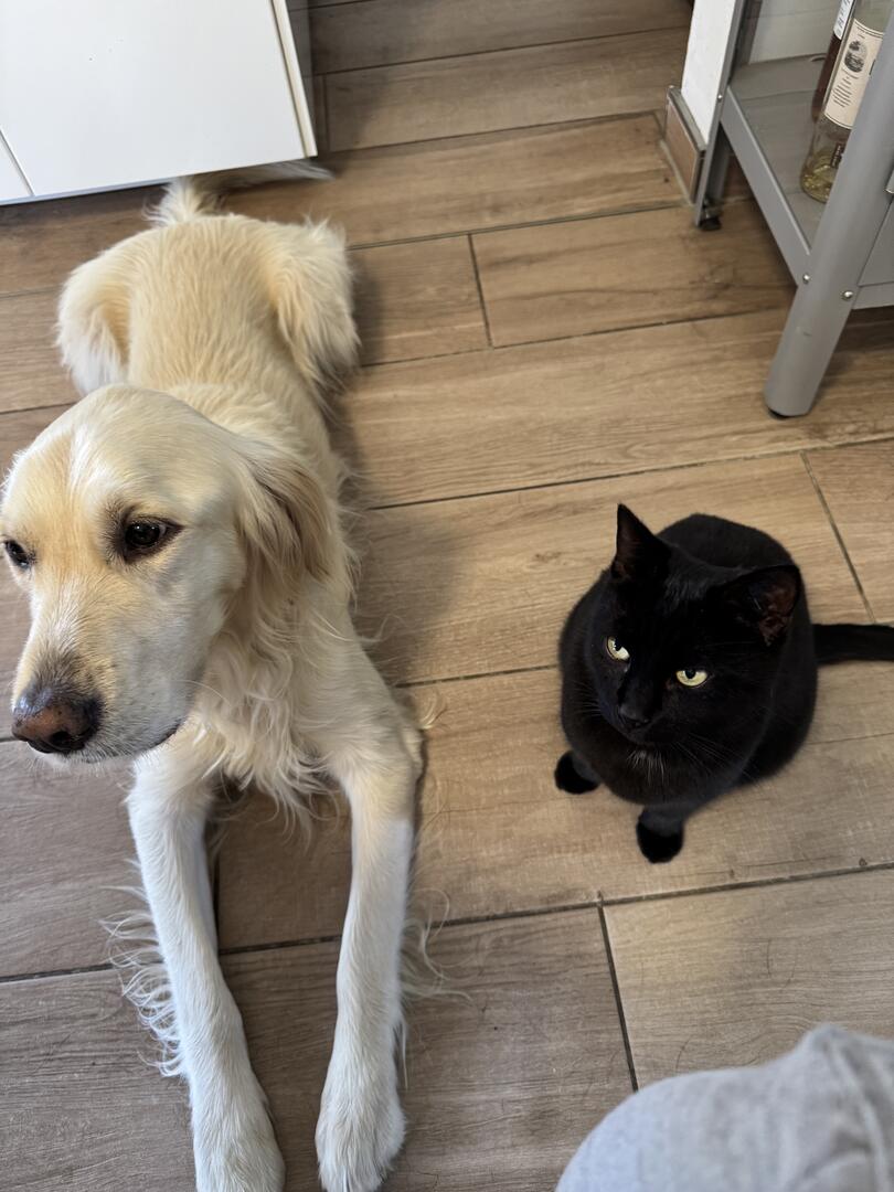 Klicke auf die Grafik für eine vergrößerte Ansicht

Name: IMG_2644.jpg
Ansichten: 0
Größe: 102,1 KB
ID: 1191101