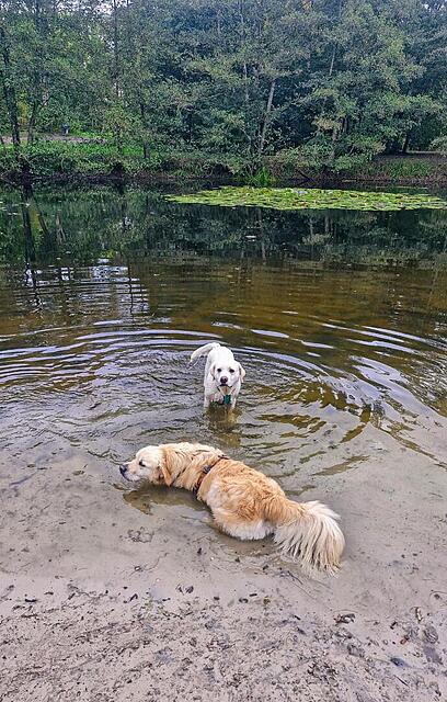 Klicke auf die Grafik für eine vergrößerte Ansicht  Name: 20251008_105443.jpg Ansichten: 0 Größe: 191,5 KB ID: 1191167