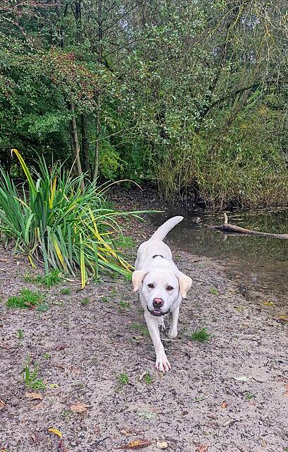 Klicke auf die Grafik für eine vergrößerte Ansicht  Name: 20251008_111944.jpg Ansichten: 0 Größe: 259,0 KB ID: 1191168