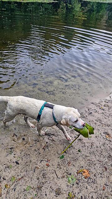 Klicke auf die Grafik für eine vergrößerte Ansicht  Name: 20251008_112026.jpg Ansichten: 0 Größe: 161,2 KB ID: 1191169