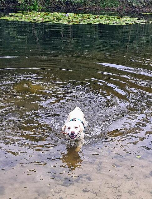 Klicke auf die Grafik für eine vergrößerte Ansicht  Name: 20251008_112143.jpg Ansichten: 0 Größe: 216,4 KB ID: 1191170