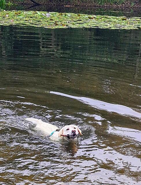 Klicke auf die Grafik für eine vergrößerte Ansicht  Name: 20251008_112141.jpg Ansichten: 0 Größe: 206,0 KB ID: 1191171