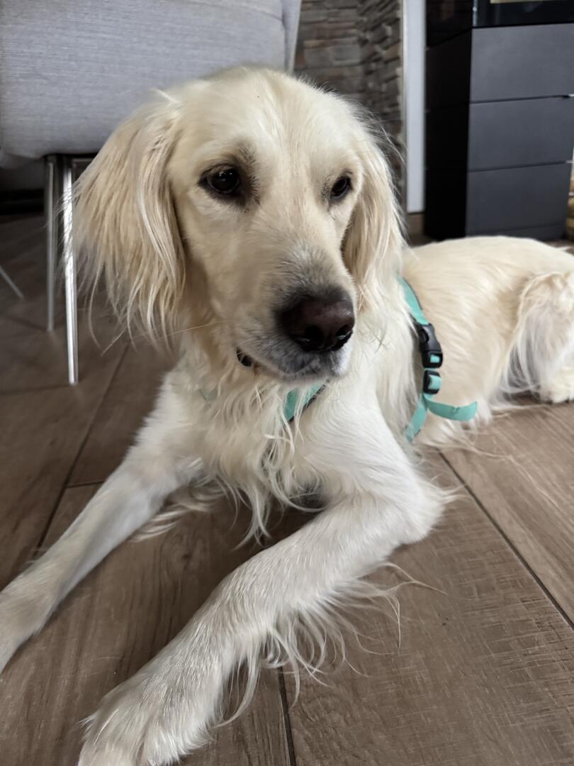 Klicke auf die Grafik für eine vergrößerte Ansicht  Name: IMG_2465.jpg Ansichten: 0 Größe: 89,7 KB ID: 1192107