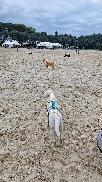 Klicke auf die Grafik für eine vergrößerte Ansicht  Name: 20251011_124228.jpg Ansichten: 0 Größe: 160,2 KB ID: 1192296