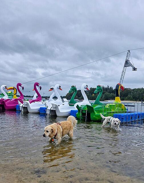 Klicke auf die Grafik für eine vergrößerte Ansicht  Name: 20251011_124622.jpg Ansichten: 0 Größe: 127,1 KB ID: 1192297