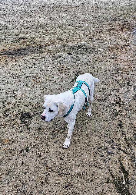 Klicke auf die Grafik für eine vergrößerte Ansicht  Name: 20251011_124608.jpg Ansichten: 0 Größe: 295,6 KB ID: 1192298