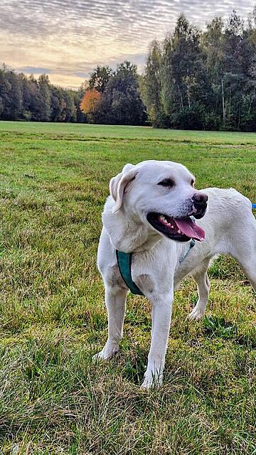 Klicke auf die Grafik für eine vergrößerte Ansicht  Name: 20251019_112420.jpg Ansichten: 0 Größe: 187,3 KB ID: 1192299