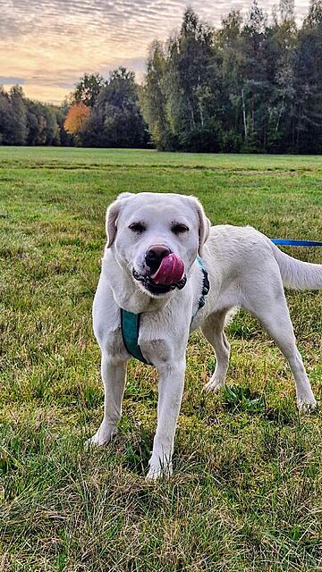 Klicke auf die Grafik für eine vergrößerte Ansicht  Name: 20251019_112422.jpg Ansichten: 0 Größe: 184,3 KB ID: 1192300