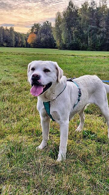 Klicke auf die Grafik für eine vergrößerte Ansicht  Name: 20251019_112424.jpg Ansichten: 0 Größe: 187,7 KB ID: 1192301