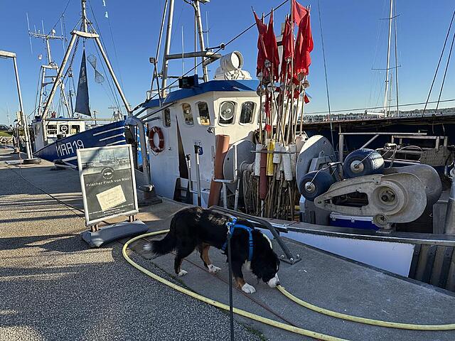 Klicke auf die Grafik für eine vergrößerte Ansicht

Name: IMG_8195.jpg
Ansichten: 0
Größe: 188,2 KB
ID: 1192807