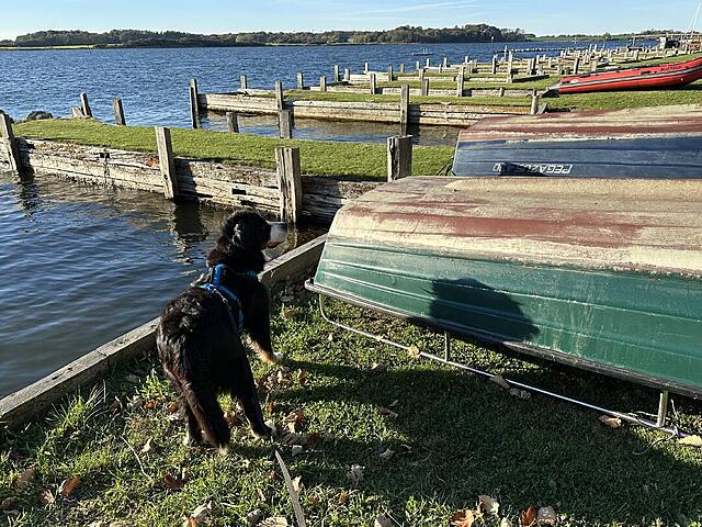 Klicke auf die Grafik für eine vergrößerte Ansicht

Name: IMG_8199.jpg
Ansichten: 0
Größe: 237,2 KB
ID: 1192808