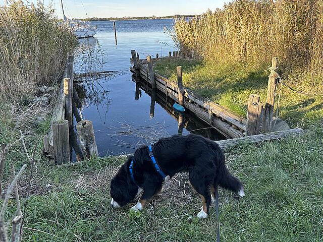 Klicke auf die Grafik für eine vergrößerte Ansicht

Name: IMG_8213.jpg
Ansichten: 0
Größe: 271,3 KB
ID: 1192810