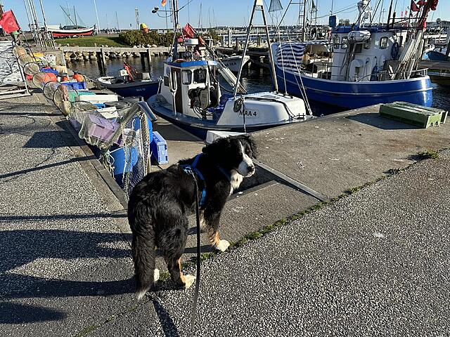 Klicke auf die Grafik für eine vergrößerte Ansicht

Name: IMG_8189.jpg
Ansichten: 0
Größe: 297,1 KB
ID: 1192811