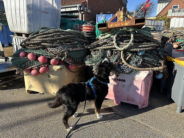 Klicke auf die Grafik für eine vergrößerte Ansicht

Name: IMG_8185.jpg
Ansichten: 0
Größe: 257,5 KB
ID: 1192812