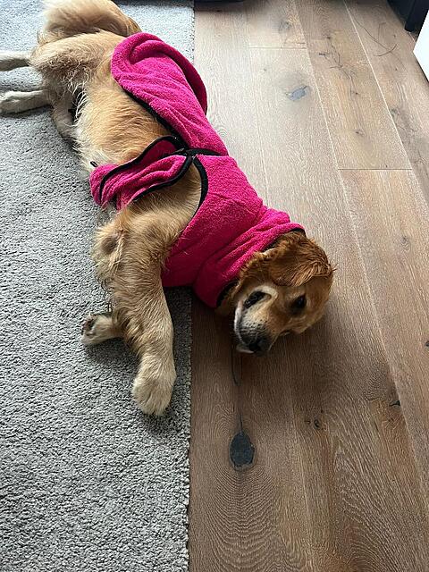 Klicke auf die Grafik für eine vergrößerte Ansicht  Name: 021ee532-a933-47ad-b93f-151ac2e2e83c.jpg Ansichten: 0 Größe: 230,2 KB ID: 1192989