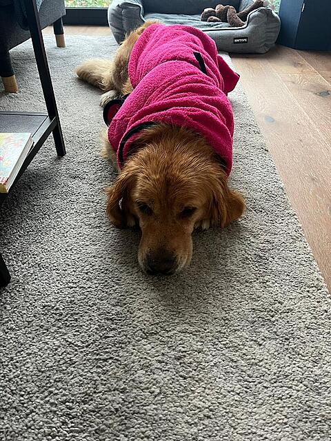 Klicke auf die Grafik für eine vergrößerte Ansicht  Name: 4c083c3b-3b0d-460e-9343-bf6abc224090.jpg Ansichten: 0 Größe: 241,2 KB ID: 1192990