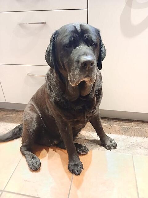 Klicke auf die Grafik für eine vergrößerte Ansicht  Name: cb7cb323-533e-4836-91d9-388bc984d95a.jpg Ansichten: 0 Größe: 61,1 KB ID: 1192998