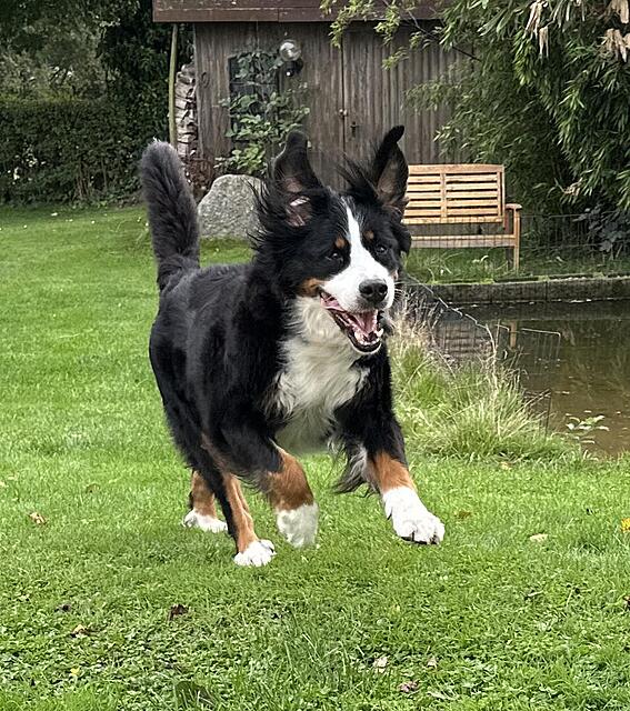 Klicke auf die Grafik für eine vergrößerte Ansicht

Name: IMG_6634.jpg
Ansichten: 0
Größe: 216,3 KB
ID: 1193123