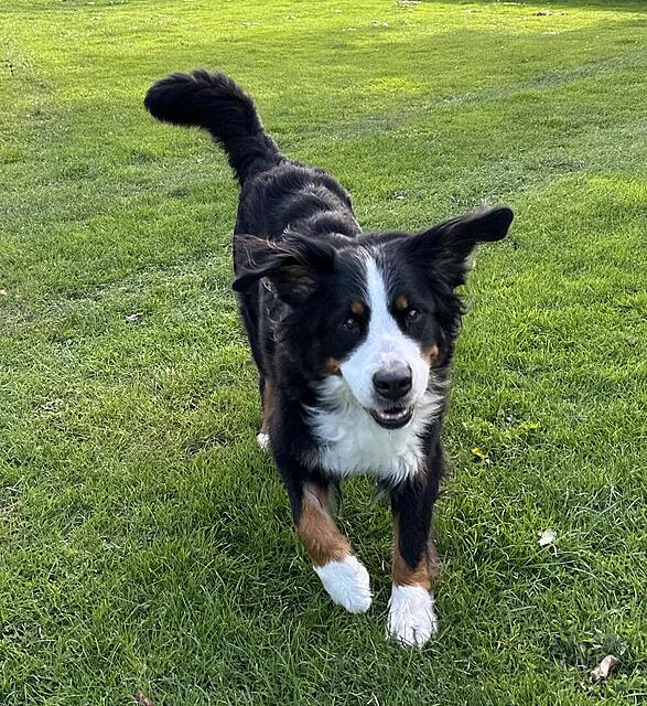 Klicke auf die Grafik für eine vergrößerte Ansicht

Name: IMG_6648.jpg
Ansichten: 0
Größe: 297,1 KB
ID: 1193125