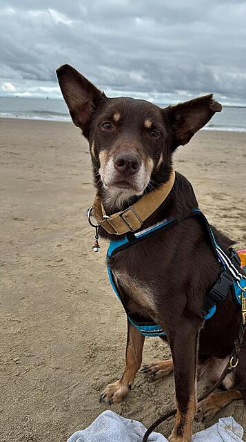 Klicke auf die Grafik für eine vergrößerte Ansicht

Name: Castle1 #1727.jpg
Ansichten: 0
Größe: 91,3 KB
ID: 1193177