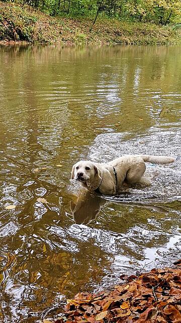 Klicke auf die Grafik für eine vergrößerte Ansicht  Name: 20251028_112744.jpg Ansichten: 0 Größe: 201,2 KB ID: 1193186