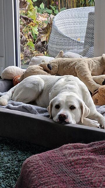 Klicke auf die Grafik für eine vergrößerte Ansicht  Name: 20251028_154418.jpg Ansichten: 0 Größe: 118,4 KB ID: 1193189