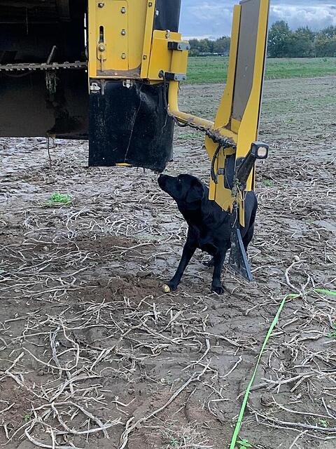 Klicke auf die Grafik für eine vergrößerte Ansicht  Name: IMG_8664.jpg Ansichten: 0 Größe: 213,6 KB ID: 1193224