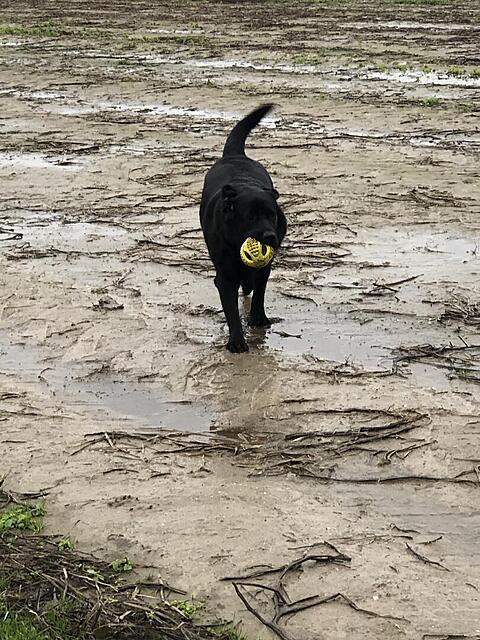 Klicke auf die Grafik für eine vergrößerte Ansicht  Name: IMG_8534.jpg Ansichten: 0 Größe: 181,2 KB ID: 1193225