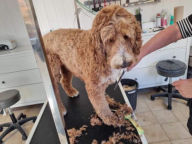 Klicke auf die Grafik für eine vergrößerte Ansicht  Name: 20251030_122025(1).jpg Ansichten: 0 Größe: 119,4 KB ID: 1193258