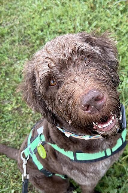 Klicke auf die Grafik für eine vergrößerte Ansicht  Name: Lia.jpg Ansichten: 0 Größe: 131,7 KB ID: 1193300