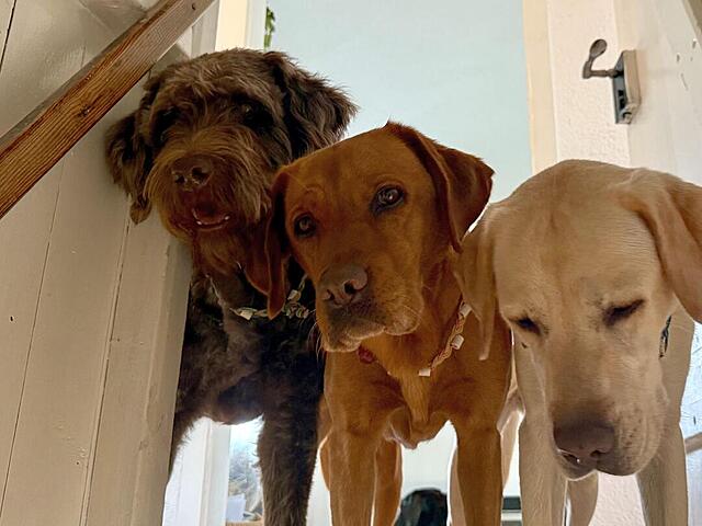 Klicke auf die Grafik für eine vergrößerte Ansicht  Name: Lia 14.jpg Ansichten: 0 Größe: 81,5 KB ID: 1193302