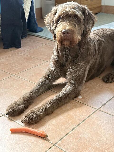 Klicke auf die Grafik für eine vergrößerte Ansicht  Name: IMG_8634.jpg Ansichten: 0 Größe: 105,0 KB ID: 1193303